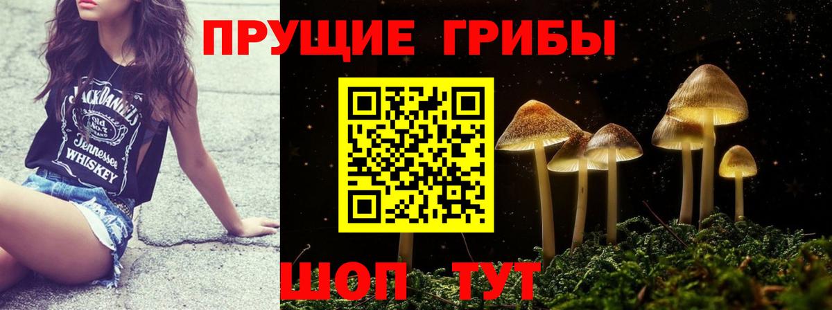 Псилоцибиновые грибы мицелий  Псилоцибиновые грибы прущие грибы  Вход с VPN  Армавир 