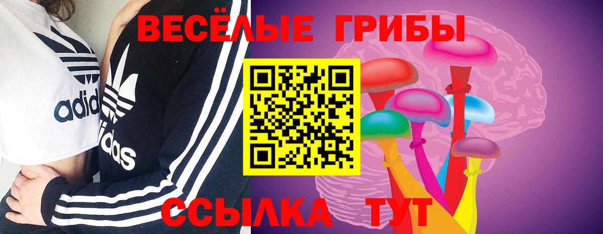 Галлюциногенные грибы прущие грибы Армавир
